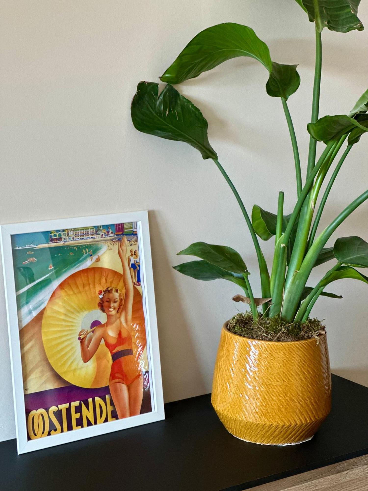 Studio By Aimee - 20M From The Beach & In City Centre! Oostende Exterior foto